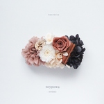 barrette " cappuccino " 012