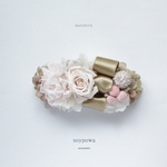 barrette "  champagne " 016