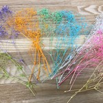 値下げ！お得な8色セット！かすみそうプリザーブド　送料無料