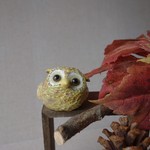 てんこ森のフクロウ　2017秋冬　からし