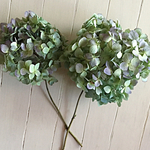 紫陽花ドライフラワー枝付き