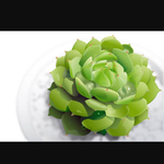 ayumibicd様御予約品