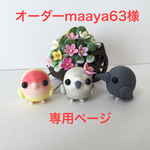 オーダーmaaya63様専用ページ