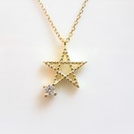Shiny Star Gold Charm Necklace