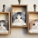猫のいる壁掛けボックス
