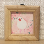 どうしたの？ 白文鳥