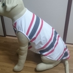大型犬用服白ボーダー