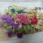 送料込☆訳あり ドライフラワー C