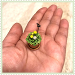 🌼ミニミニタンポポ綿毛入り🌼