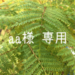 aa様 専用 選んで オーダー ミニスワッグ