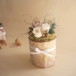 白樺のホワイトクリスマス
