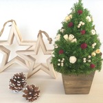 木の実のクリスマスツリー