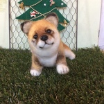オーダー品（柴犬パピー）