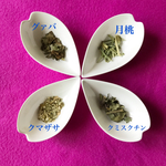 デトックスブレンド　ティ－バッグタイプ　ノンカフェイン　ハ－ブティ－