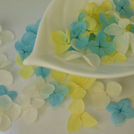 紫陽花♡mix