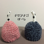 チンアナゴぼーし