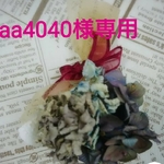 aa4040様専用です