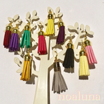 色々タッセルピアス/イヤリング