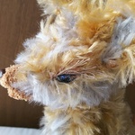 犬？狼？きつね？