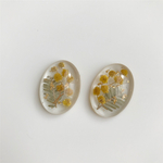 mimosa × oval