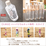 【17％OFF】【5本分】ハーバリウムお試しキット【Eタイプ】（オイル1本、ガラス瓶5本、花材セット5種類）