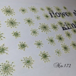 ♡new♡作家様必見♡ レースフラワー 押し花 40枚セット