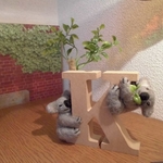 きのぼりコアラ！！～Alphabet Animals　/ コアラのぬいぐるみ　羊毛フェルト
