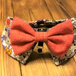 犬・猫　28～31　cocoちゃんリボンチョーカー　ワンニャン柄