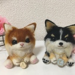   ※ kotamama1115様　専用ページです ※