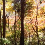 Pink-Tree 様 専用ページ インフィニティ(無限、永遠) 