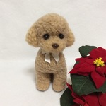 羊毛フェルト☆トイプードルの子犬たち①