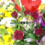 mie0716様専用ページ