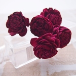 ソーラーローズ　ワインレッド　5本