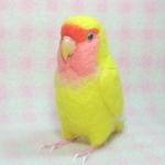 【RIRU様ご依頼品(オーダー作品）・　リアルサイズ♪羊毛インコ】