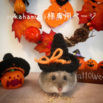 yukahamuji様専用ページ