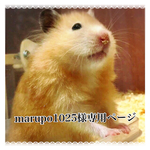 marupo1025様専用ページですので、他の方のご購入はお控え下さい🌸