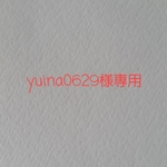 《yuina0629様専用》狆&パグ