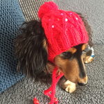 17AW#13 犬用ニット帽