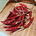 唐辛子30本