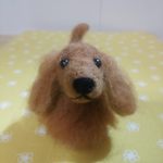 ロングヘアードダックスちゃん♪