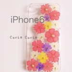 ⑥フロックスとバーベナの押し花iPhone6ケース