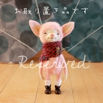 【お取り置き】ＡＣＯさま