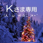  Kさま専用🎄クリスマスリース
