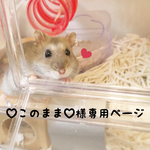♡このまま♡様専用ページ