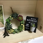 多肉植物のフェイクのリース ミニ