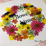 ♡new♡ 送料無料！¥860 ♡押し花セット♡