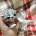 おねがいにゃんこNo.183