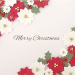 ポインセチアのお花シール大12枚+小16枚＆クリスマスホーリー6枚＆リーフ10枚セット