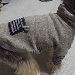 【再】オーダーで♪ボーダー切替くしゅ襟トップス*ジャズネップグレー