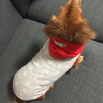 犬服‼︎ダックスS   星柄グレー&レッド